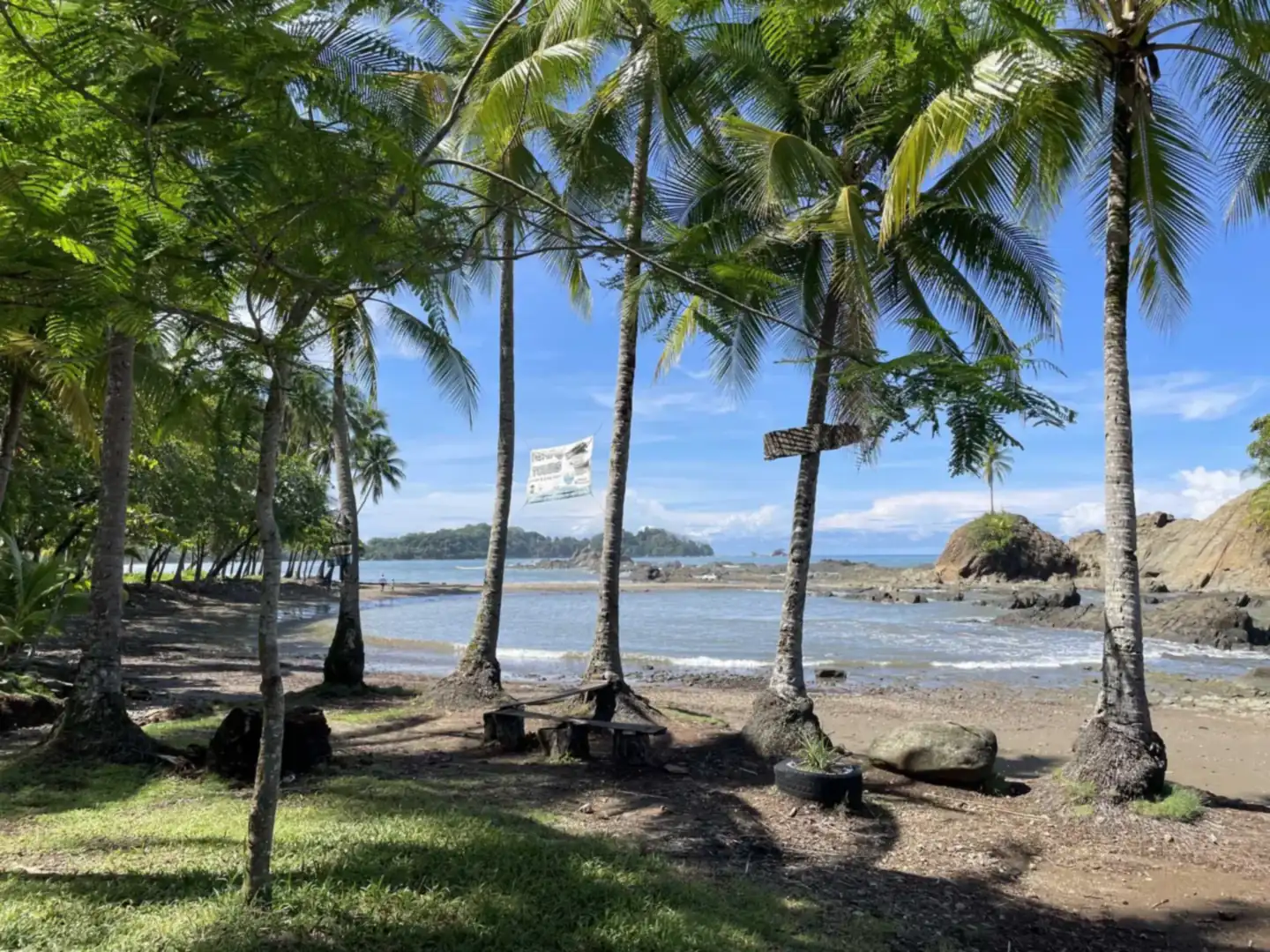 Palm trees framing a quiet bay on the Costa Ballena